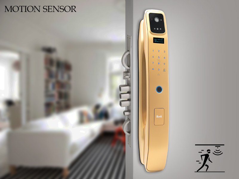 سنسور حرکتی